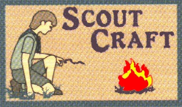 Scouts who completed the Gold Cord in Cubs and the Link Badge do not have to do this again. They automatically receive this badge.
