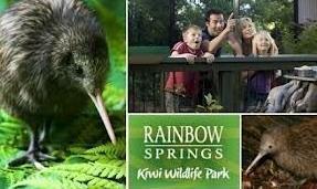 New Zealand wildlife and natural scenery is on display at Rainbow Springs Nature Park, where you can get up close to all kinds of native flora and fauna including the famous kiwi, a flightless native