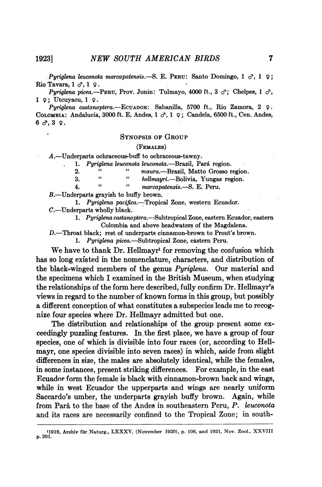 1923] NEW SOUTH AMERICAN BIRDS 7 Pyriglena leuconota marcapatensis.-s. E. PERU: Santo Domingo, 1 a>, 1 9; Rio Tavara, 1 ', 1 9. Pyriglena picea.-peru, Prov. Junin: Tulmayo, 4000 ft.