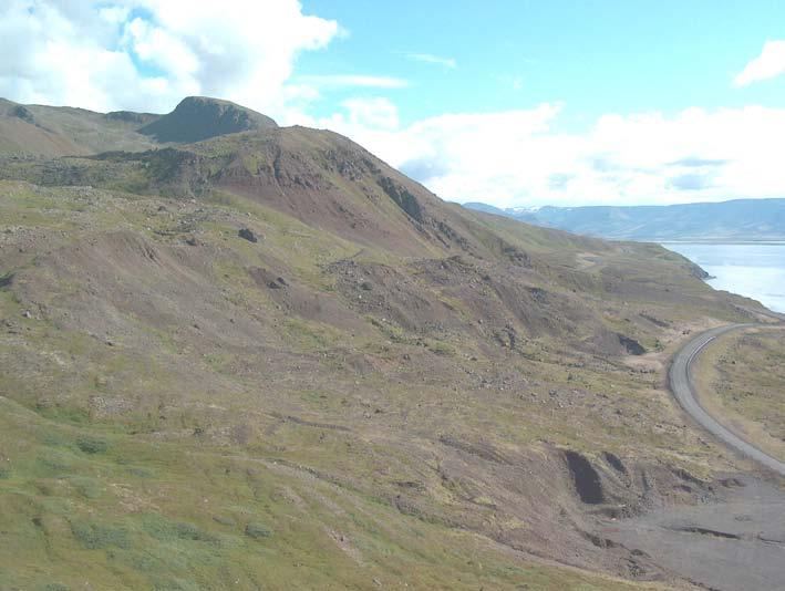 Mynd 8. Svæðið sunnan megin við Kóngsnef nefnist Skógar. Þar hefur myndast um 450-500 m breið sigskál.