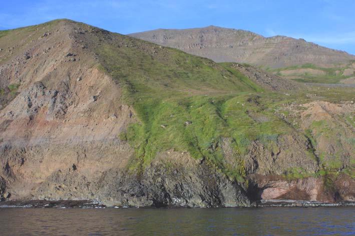 Mynd 17. Suðurhluti Þúfnavallaberghlaupsins. Berggrunnur á þessu svæði er um 20-25 m hár, en heildarhæð bakkans er um 80 m. (Ljósm. Þorsteinn Sæmundsson 2003) 6.