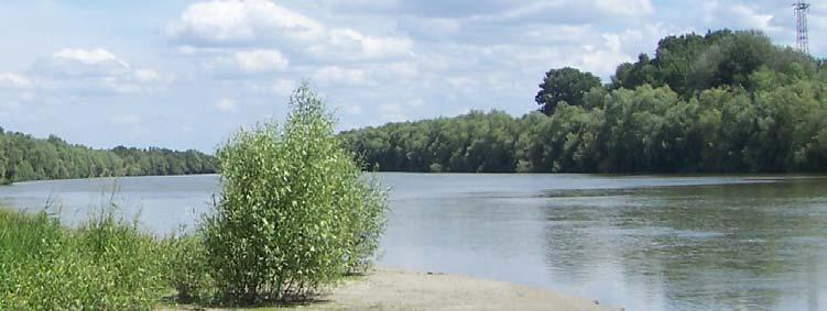 Restoration in the Ukrainian part of the Danube Delta Tatyana