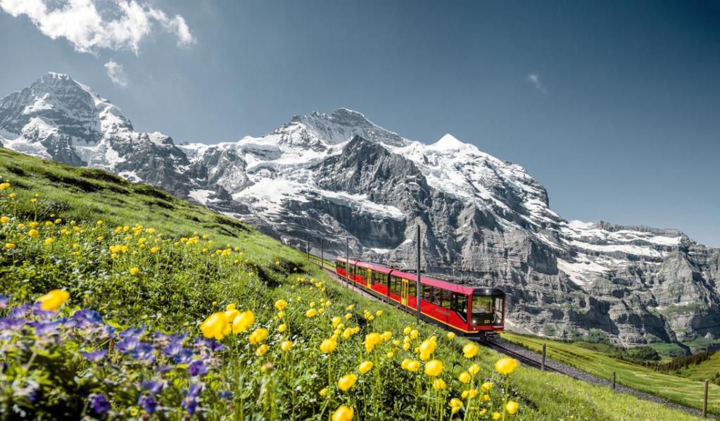 Swiss Premium Tour Lucerne Interlaken Jungfraujoch Zermatt Gornergrat Glacier Express St.