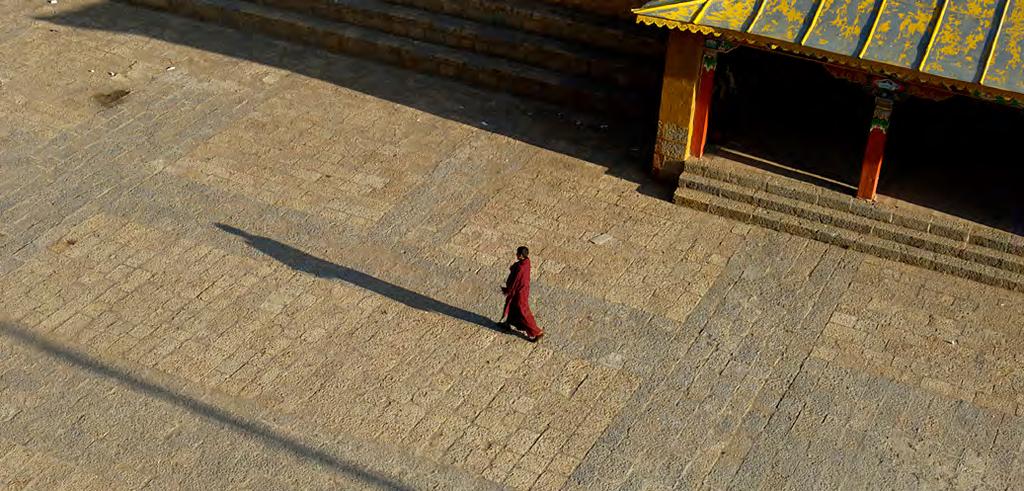 RED-ROBED MONKS