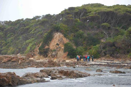 Submissions to EES and Panel Panel and representatives inspect breakwater site where the raised beach road will meet the breakwater photo Gib Wettenhall The Panel sat for 14 days and heard from