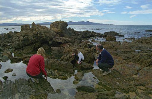Panel Finding on Policy Framework Bastion Point is one of the few accessible shallow reef habitats in East Gippsland.