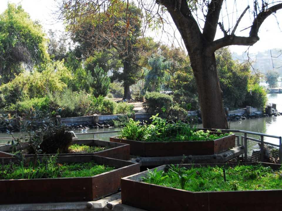Ecosystem: Gardens at