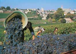 Grape harvest Lyon and the Saone from Fourviere Hill Chateau de Cromatin Rivers & Vines A river cruise along the Saone 3rd to 10th June 2015 Most travellers through France miss the timeless beauty of