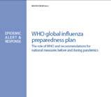 Influenza A(H1N1) in air transport WHO global