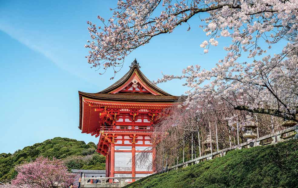 spring flowers cruises Springtime in Japan drapes cities and villages in soft pink, purple and white hues that accent timeless temples and modern cityscapes.