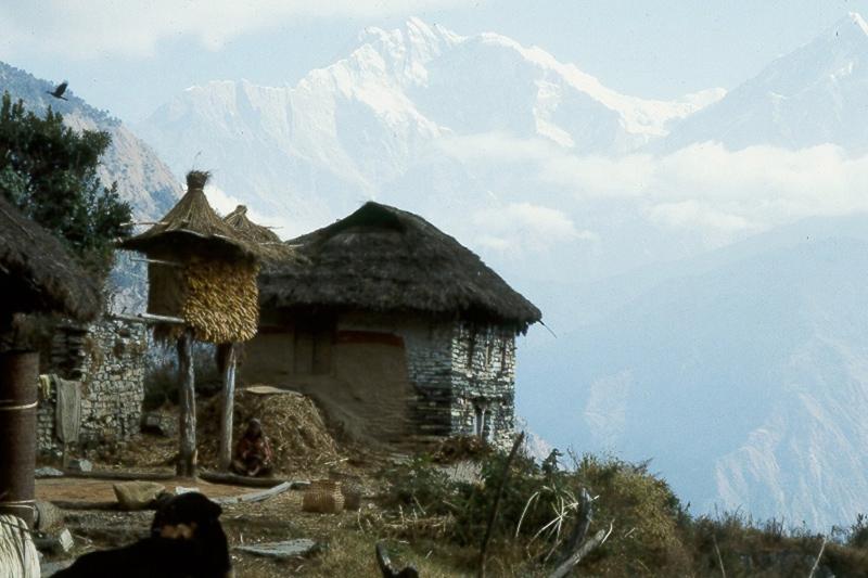 Day 12: Jhinu Danda - Pothana After breakfast this morning, we continue our trek to Landruk, a beautiful Gurung village.