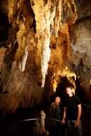 VISIT INCLUDES BOAT RIDE IN A REAL DARK CAVE OF GLOWWORM, ARANUI CAVE AND RUAKURI CAVE.