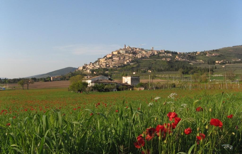 Umbrian hills: good wine, great views and scrumptious