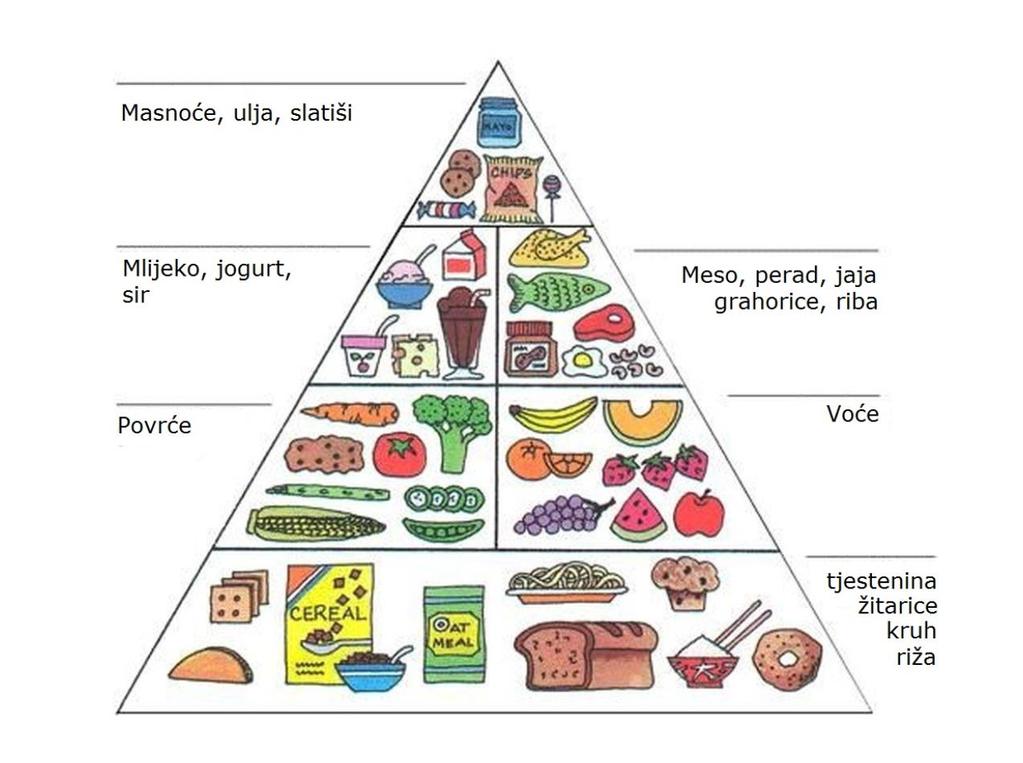ugljikohidrati, dok nova piramida započinje s voćem i povrćem (Bauer, 2005).