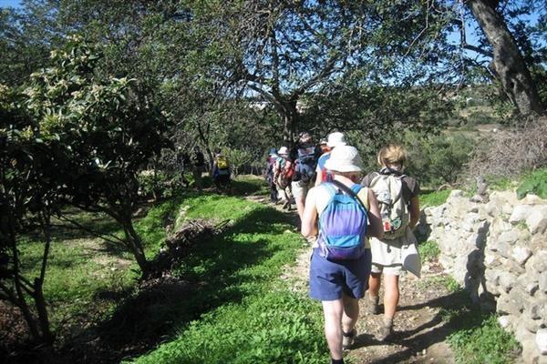 Day: 2 - Tavira (B,D) Zimbral - Fonte Salgada - N125 Our wonderful walk today takes us through open rolling hillsides with spectacular views, allowing a tremendous appreciation for the region.