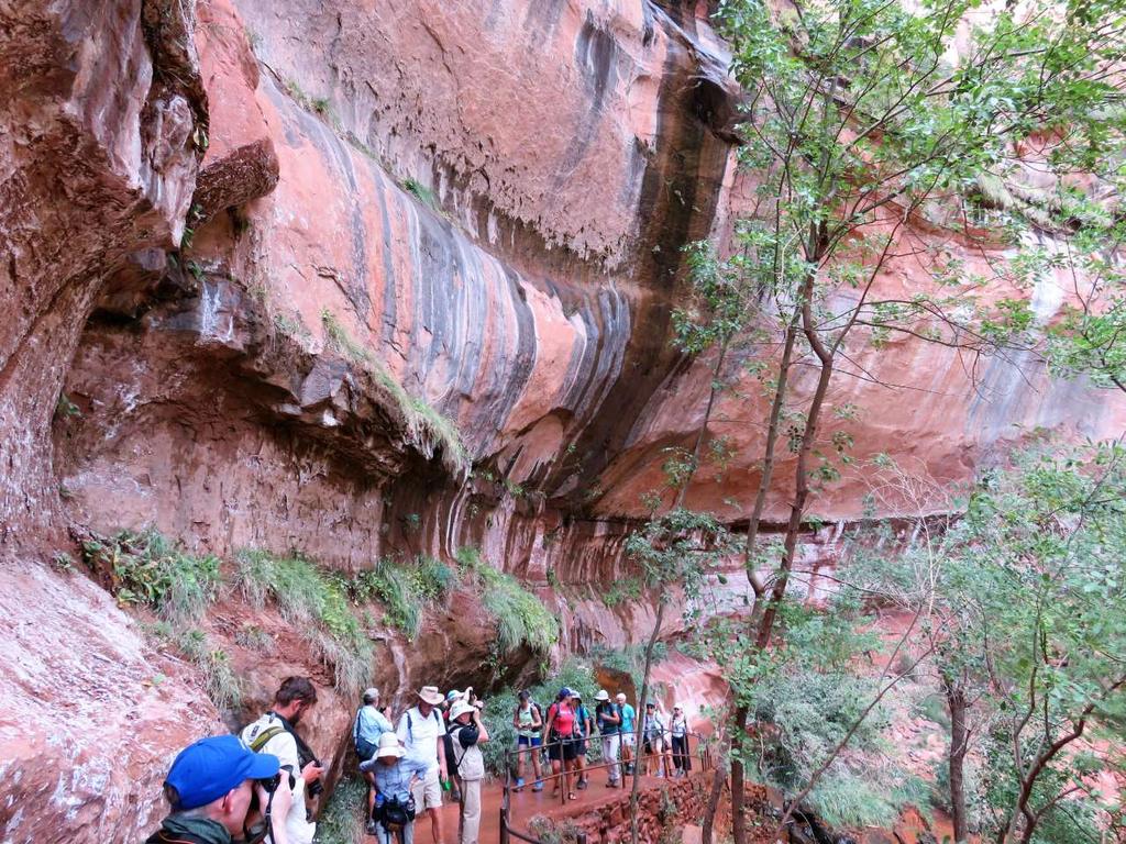 Zion National Park: our photography group Copyright 2018 2018