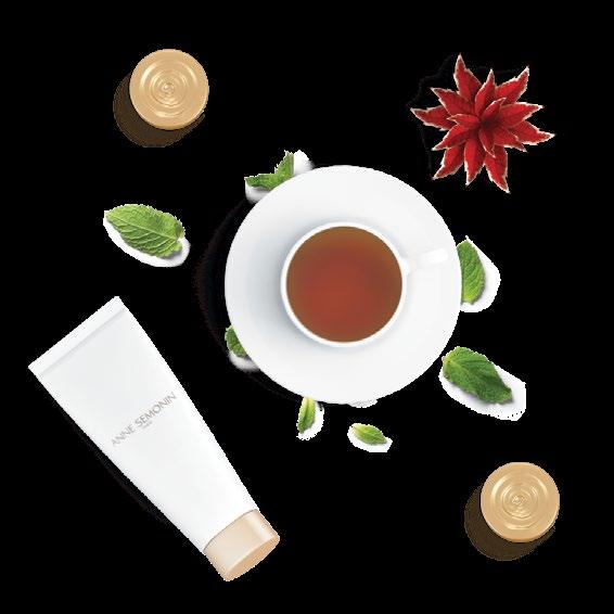 A TEA JOURNEY FOR THE SENSES 1 SEPTEMBER 31 DECEMBER EVERY TUESDAY 2:00 PM 3:00 PM Discover a true wellness experience with signature tea blends that invigorate your senses, whether you are in need