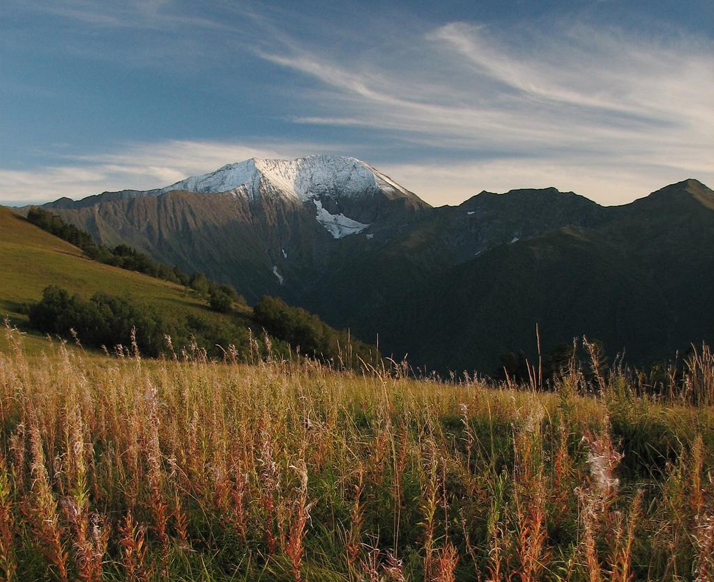 NEWSLETTER 2013 Kavkazski Nature Reserve. A.