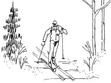 A. Non-motorized use trails (single use) A6 Cross-Country Skiing (track skiing, skate skiing, backcountry skiing) Basic Description: This category includes any person using cross-country skis.