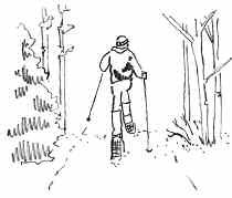 The height of a person snowshoeing is the same as a pedestrian, but a somewhat wider trail is required for the movement of the snowshoes and the use of poles.