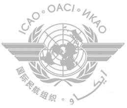 ICAO s Organizational Structure ICAO is comprised of an Assembly, a Council and a