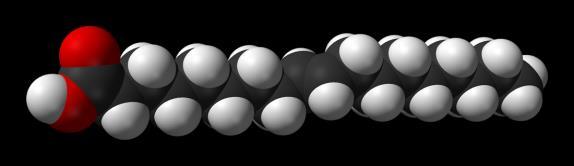 Krutost dvostruke veze zadržava svoje oblikovanje, a cis forma izomera uzrokuje da se lanac presavija i ograničava oblikovnu slobodu masne kiseline.