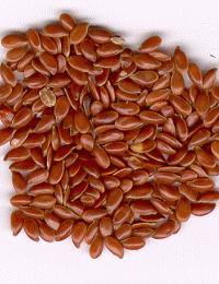 Laneno ulje Lan (lat. Linum usitatissimum) je kod starih naroda uzgajan još prije 3000 godina, naročito zbog vlakana. Laneno ulje je ekstrakt iz sjemena lana, a pripada grupi tzv.