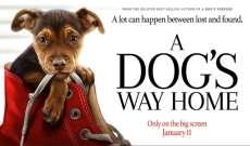 11.Movie-A Dogs Way Home & Dinner at Chili's Tuesday, January 15, 2019 3:00 PM to 7:30 PM Cinemark Movie Theatre 4313 Milan Rd *I will call if any changes to start and end time *Movie - "A Dog's Way
