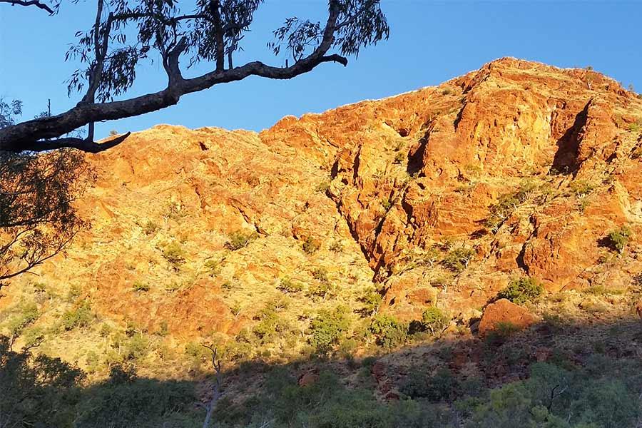 Watching the afternoon sun fall over Trephina Gorge. Photo: Bob West. Gorge Walk/Loop and the Panorama Walk We managed two great walks during our stay the Gorge Walk/Loop and the Panorama Walk.
