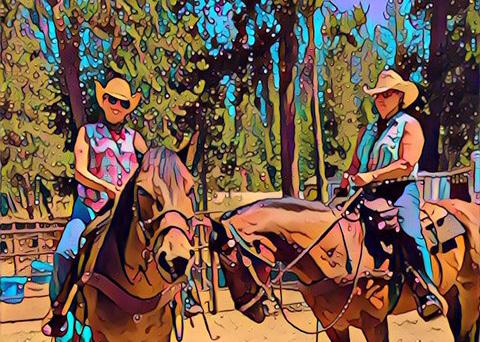 Monterey Bay Equestrians January 2019 WWW.Montereybayequestrines.com PRESIDENTS REPORT Welcome to 2019! I hope you all had a Merry Christmas & Happy Holidays.