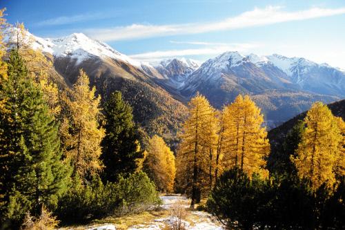 Allegra Welcome to the breathtakingly beautiful landscape of the Engadin Valley, the region of the Swiss National Park. The holiday destinations of Engadin St.