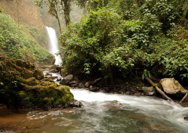Excursion: La Paz Waterfall Gardens in the Central Valley This all-day excursion has been a favorite way to start our retreats in Costa Rica and is included in your