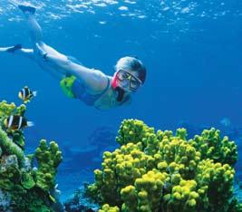 Drop anchor in deserted island coves, scuba dive and snorkel on vibrant coral reefs, walk through island rainforests and dine on deck under the stars.