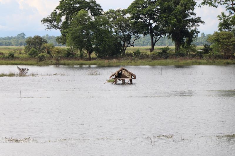 Near Mihimukh in Kaziranga National Park floodwater kept the low-lying lands inundated till Friday. Photo by Ankita Bora.