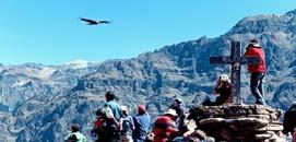 Day 10 Colca Canyon (B,L,D) To maximize your probability of seeing condors we depart very early towards a superb natural lookout point Cross of the Condor from where one can watch