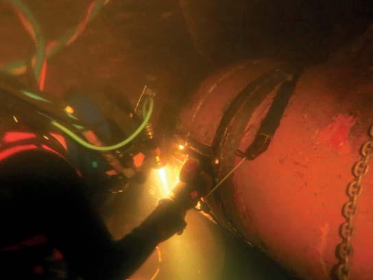 For almost twenty years Hydrex has carried out repairs and replacements on stern tube seals on-site and underwater.
