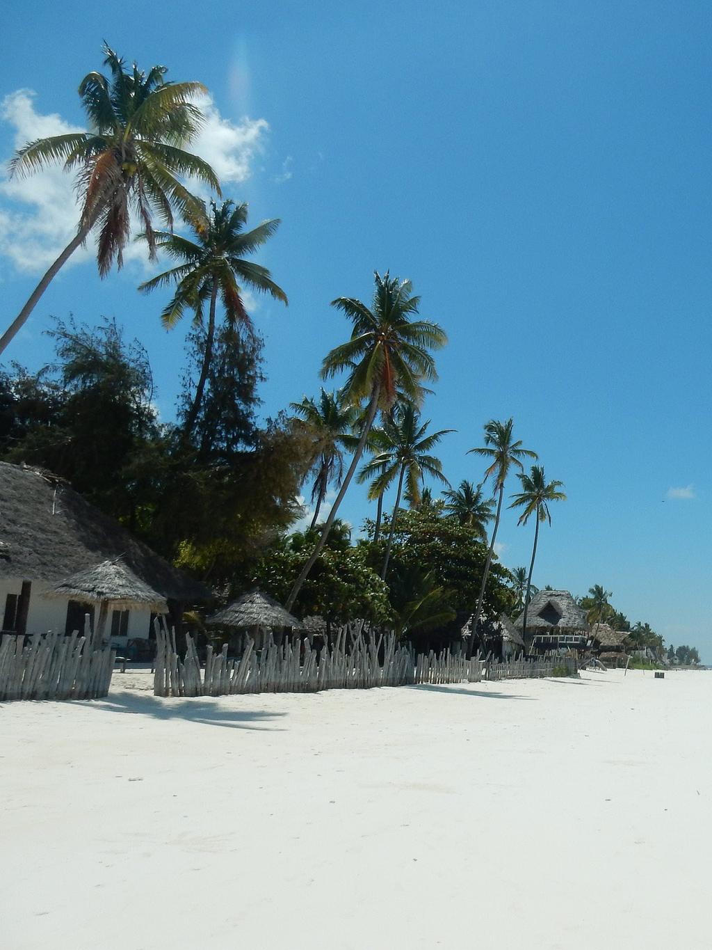 ZANZIBAR 6 DAY SOLOS TOUR: 12TH - 18TH JUNE 2019 Zanzibar! The very name evokes images of exotic spices, clear blue waters and hidden secrets. But this island paradise is so much more.