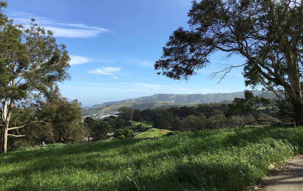 STATUS UPDATE CITYWIDE PARKS & PROGRAMS Citywide Parks: Community outreach for projects in McLaren Park and Lake Merced is underway Commission approval for McLaren Park Vision Plan expected November