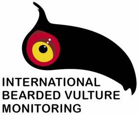 2 nd Bearded Vulture Observation Days In the Alps