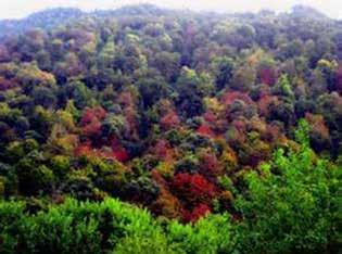 Figure 2. Spectacular Colorful Foliage of Mazandaran Forests in Autumn Figure 5. Arial View of Namak Abroud Cable Car Ride in the Summer.