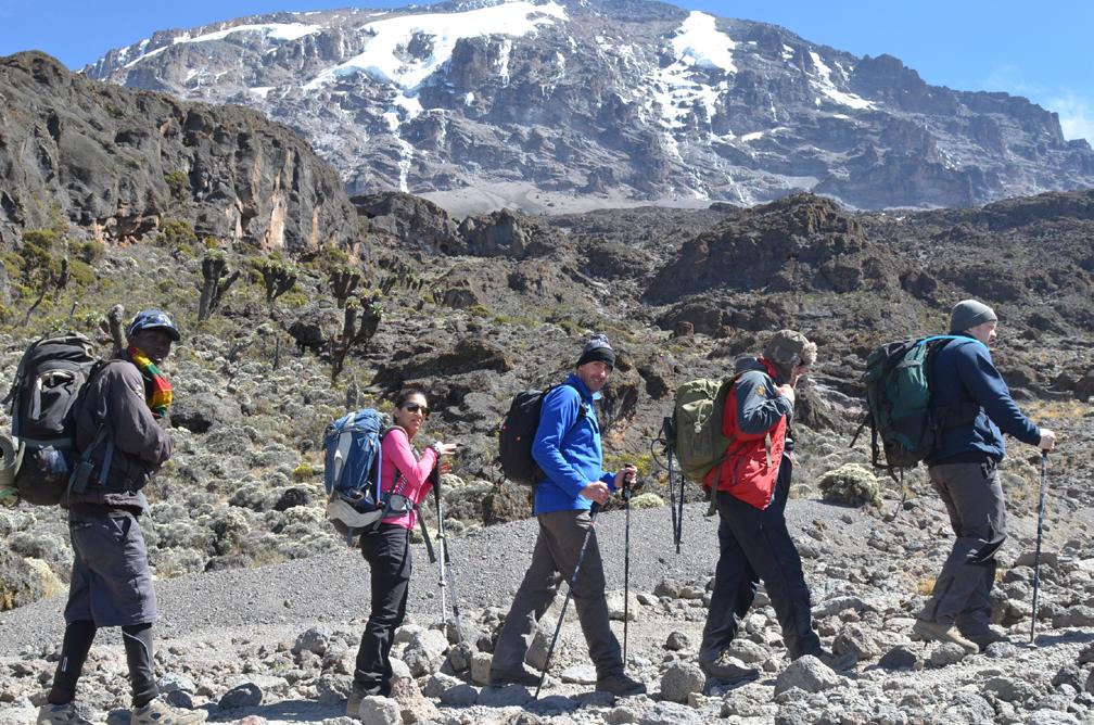 Day 5: Shira Cave (3,845m) to Barranco (3,960m) Day 7: Karanga (3,963) to Barafu (4,640m) Walking now on high moorland, the landscape changes the entire character of the trek.