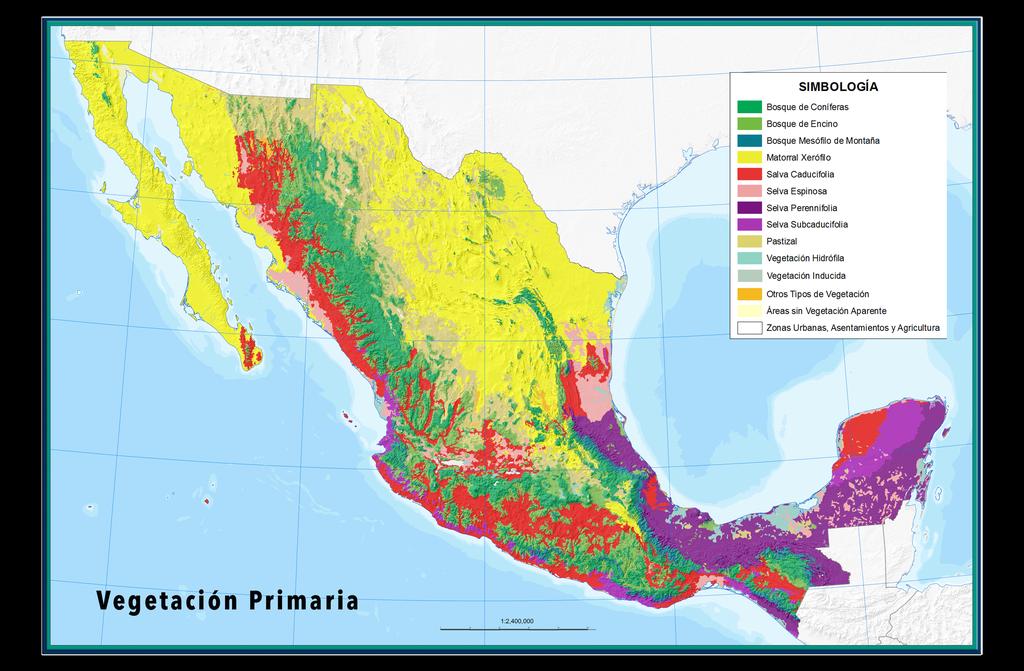 Background INEGI has produced Geospa-a Data about the Natural Resources of Mexico for several decades.