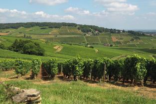 a welcoming and bustling little town, famous for its mediaeval style, its Romanesque church, its stonework and above all for its wines, including the local appellation Montagny.