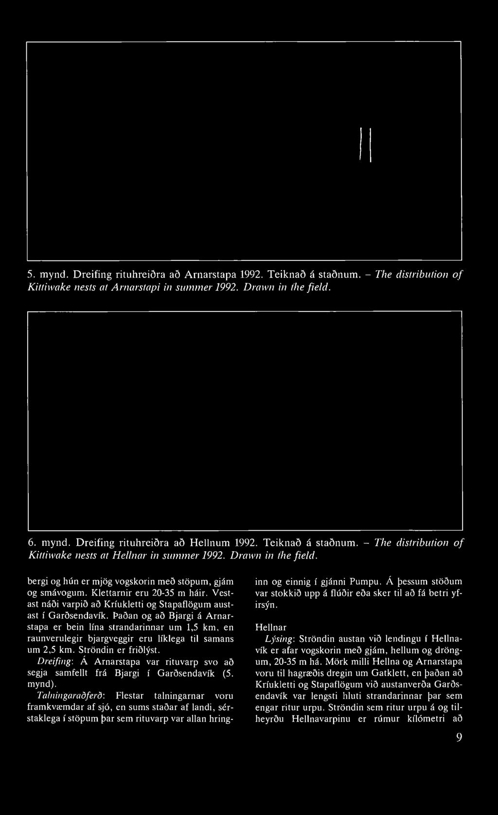 5. mynd. Dreifing rituhreiðra að Arnarstapa 1992. Teiknað á staðnum. - The distribution of Kittiwake nests at Arnarstapi in summer 1992. Drawn in the field. 6. mynd. Dreifing rituhreiðra að Hellnum 1992.