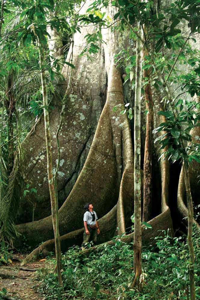 Voyage to the Heart of the Amazon Expedition Cruise - 6 Nights This expedition cruise is for travelers who have a passion for adventure and exploration, a love of nature, and wish to go far, far into