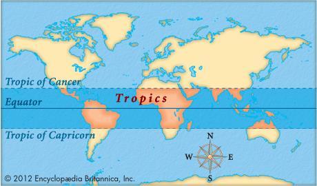Tropical Wet Climates Latin America is a large area, covering a wide part of the globe.