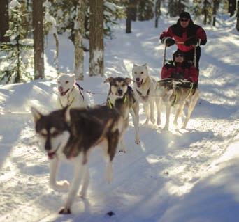 and enjoy an exciting array of traditional Arctic activities in Santa s magical