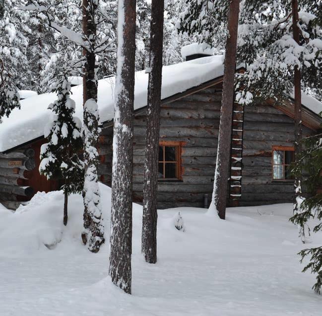 The log cabins vary in style, layout and decoration.