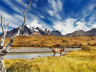 A snack will be provided enroute and you will stop for stunning photo opportunities, including flamboyant flamingos and other birds strutting along the Patagonian Steppes.
