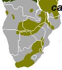 West Africa Pool 5 Southern Africa Type Type A G-V G-V G- G-V G-V G-V G- G- G-V G-V G- Southern Africa (SAT 1, SAT, SAT 3) Angola, Botswana, Lesotho, Malawi, Mozambique, Namibia, South Africa,